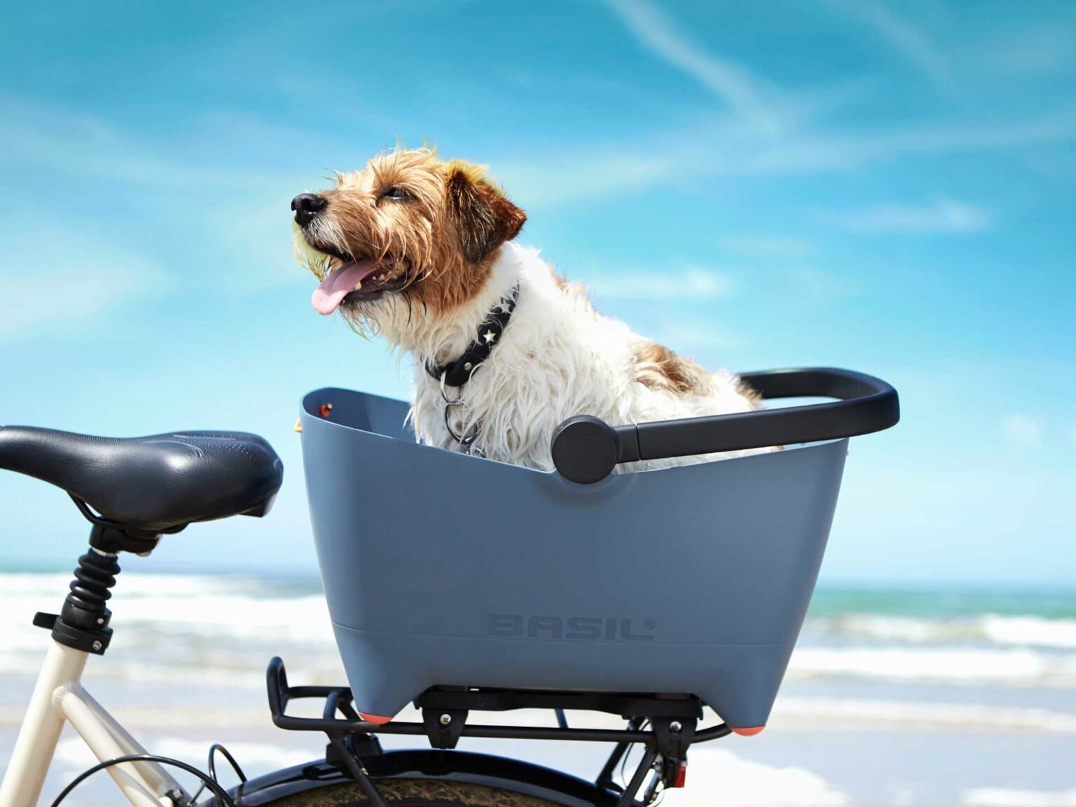 image of basil buddy dog bicycle basket blue carrier