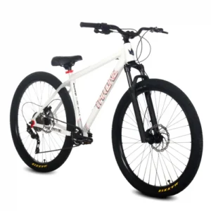 The Dime MTX Grey Color, Planet of Bike