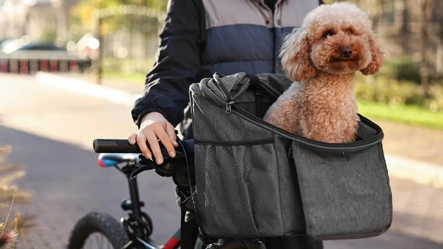Image of a dog bike carrier basket folding small pet cat dog