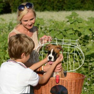 image of klickfix-doggy-frimage of klickfix-doggy-front bicycle basket-plus-fix-0399fh-natural for sale on Planet of Bikesont bicycle basket-plus-fix-0399fh-natural for sale on Planet of Bikes