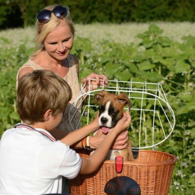 image of klickfix-doggy-frimage of klickfix-doggy-front bicycle basket-plus-fix-0399fh-natural for sale on Planet of Bikesont bicycle basket-plus-fix-0399fh-natural for sale on Planet of Bikes